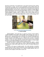 Referāts 'Meža taksācija', 9.