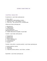 Konspekts 'Nozaru klasifikācija', 1.