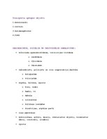 Konspekts 'Nozaru klasifikācija', 13.