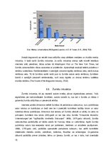 Referāts 'Žurnāla “L’OFFICIEL BALTIC” digitālā mārketinga komunikācija', 16.