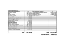 Eseja 'Latvijas valsts budžets 2010.gadā', 6.