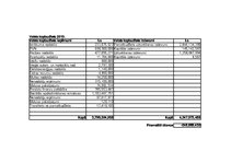 Eseja 'Latvijas valsts budžets 2010.gadā', 7.