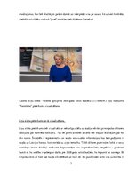 Eseja 'Ziņu sižeta analīze', 3.