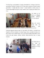 Eseja 'Ziņu sižeta analīze', 8.