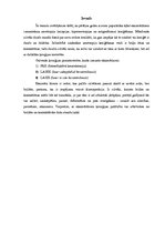 Referāts 'Eksimērlāzers', 3.