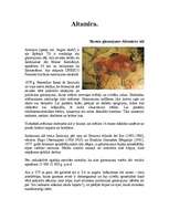 Konspekts 'Bizona gleznojums Altamiras alā', 1.