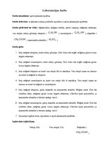 Paraugs 'Spirti', 1.