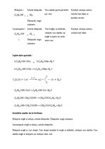 Paraugs 'Spirti', 2.