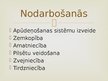 Prezentācija 'Šumera', 6.
