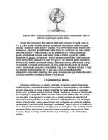 Referāts 'Visuma uzbūve', 5.