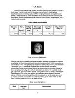 Referāts 'Visuma uzbūve', 23.