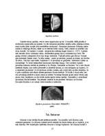 Referāts 'Visuma uzbūve', 27.