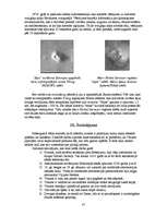 Referāts 'Visuma uzbūve', 35.
