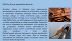Prezentācija 'Skābais lietus un tā ietekmē uz būvmateriāliem', 8.