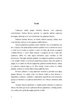 Referāts 'Lēmumu pieņemšana organizācijās', 3.