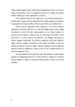 Referāts 'Lēmumu pieņemšana organizācijās', 6.