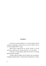 Referāts 'Lēmumu pieņemšana organizācijās', 9.