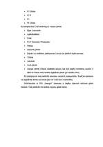 Referāts 'Tirgus segmentācija manā darba vietā', 3.