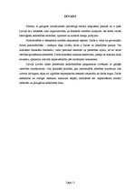 Referāts 'Latvijas sociālā politika cilvēku ar garīgās veselības traucējumiem aizsardzībā ', 3.