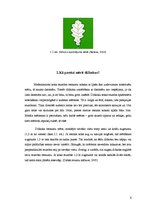 Referāts 'Dižkoki Latvijā', 6.