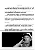 Referāts 'Reklāmas kampaņas analīze. Gustavo kampaņa koncertturnejai "3"', 6.