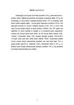 Referāts 'Sports Latvijā 20.gs. 20.-30.gados', 3.