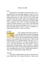 Referāts 'Sports Latvijā 20.gs. 20.-30.gados', 4.