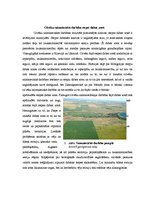 Referāts 'Stepes Dienvidamerikā jeb pampas', 3.