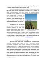 Referāts 'Stepes Dienvidamerikā jeb pampas', 8.