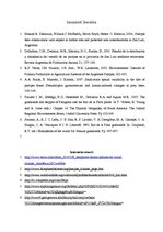 Referāts 'Stepes Dienvidamerikā jeb pampas', 14.