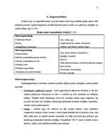 Referāts 'Tipogrāfijas "S&G" ražotie reklāmas materiāli', 17.