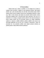 Referāts 'Tipogrāfijas "S&G" ražotie reklāmas materiāli', 20.