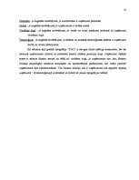 Referāts 'Tipogrāfijas "S&G" ražotie reklāmas materiāli', 22.