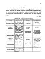 Referāts 'Tipogrāfijas "S&G" ražotie reklāmas materiāli', 24.