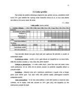 Referāts 'Tipogrāfijas "S&G" ražotie reklāmas materiāli', 25.