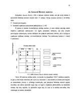 Referāts 'Tipogrāfijas "S&G" ražotie reklāmas materiāli', 29.