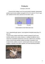 Referāts 'Briežu audzētāji Latvijā', 11.