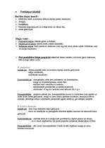 Konspekts 'Pretklepus līdzekļi', 1.