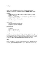 Prezentācija 'Svētku svinēšanas tradīcijas Ogres 1. Vidusskolā', 24.