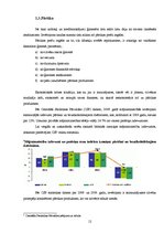 Referāts 'Izdevumi - ģimenes budžeta būtiska sastāvdaļa', 12.