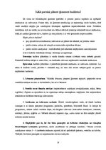 Referāts 'Izdevumi - ģimenes budžeta būtiska sastāvdaļa', 19.