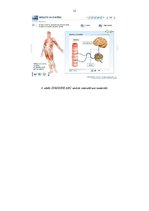 Referāts 'Informācijas tehnoloģiju pielietojumi pirmsskolas un sākumskolas skolotāja profe', 11.