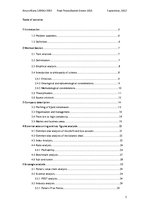 Diplomdarbs 'Danish Crown', 3.