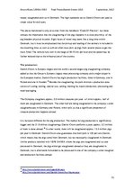 Diplomdarbs 'Danish Crown', 31.