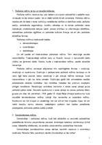 Konspekts 'Politiskie režīmi', 2.