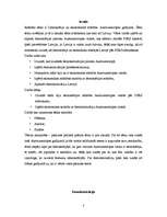 Referāts 'Demokrātija un ekonomiskā attīstība: Austrumeiropas gadījums', 3.