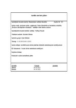 Paraugs 'Audita norises plāns', 1.