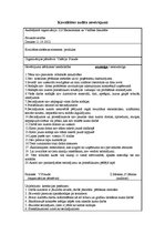 Paraugs 'Audita norises plāns', 5.