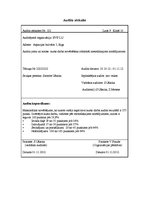 Paraugs 'Audita norises plāns', 9.