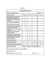 Paraugs 'Audita norises plāns', 10.